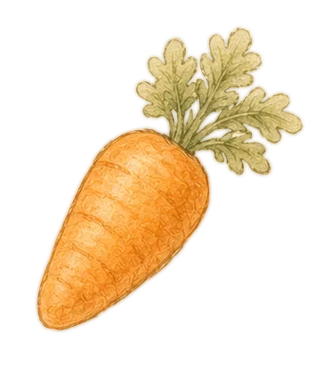 Carrot
